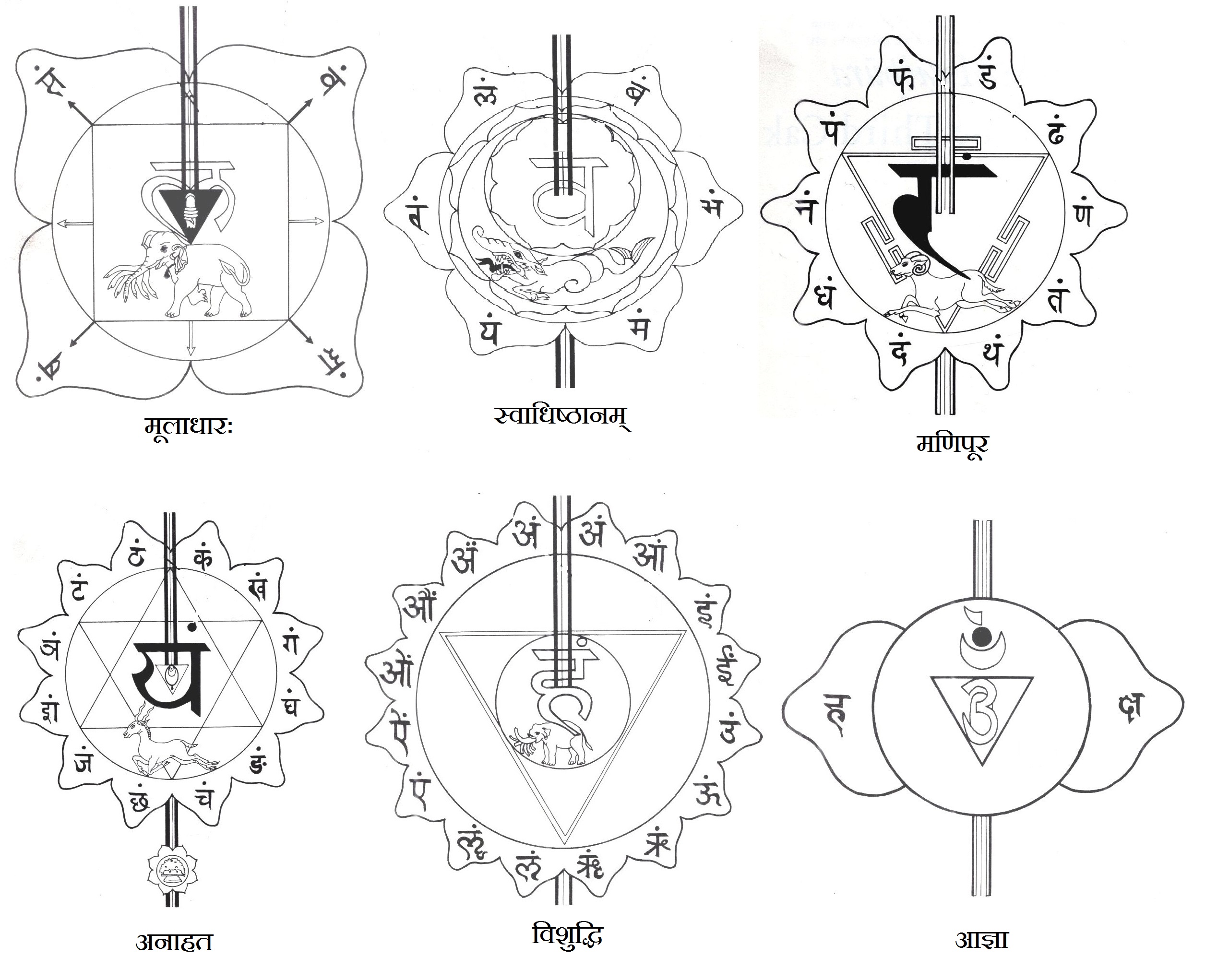 Les chakras et le magnétisme : comprendre ces centres d&rsquo;énergie