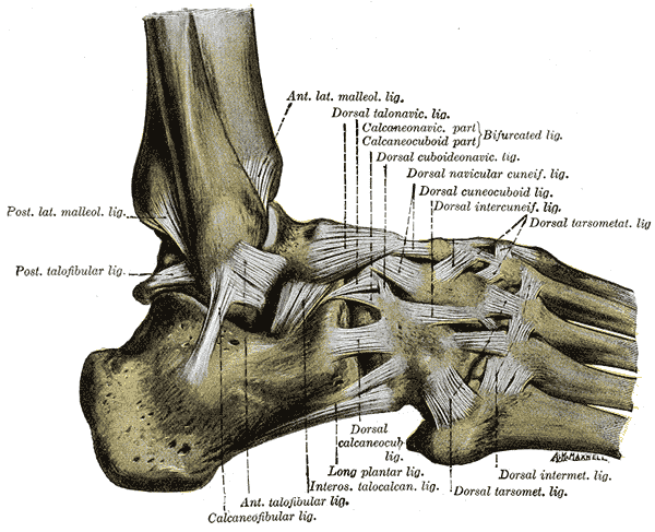 Le magnétisme et la tendinite : douleurs des tendons et détente